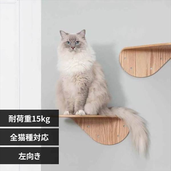 LACKTILT �L���b�g�X�e�b�v MZ0034 ������_0