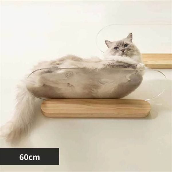 OBLONG �N���A�L���b�g�X�e�b�v M�T�C�Y 60cm MZ0037 _0