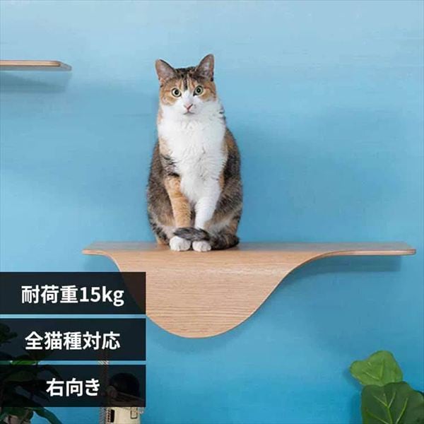 STINGRAY �L���b�g�X�e�b�v MZ0046 �E����_0