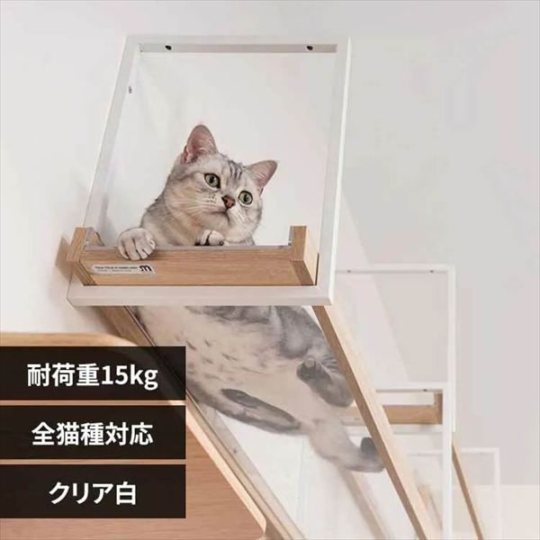 AVENUE �L���b�g�E�H�[�N MZ0052 �N���A��_0