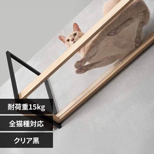 AVENUE �L���b�g�E�H�[�N MZ0053 �N���A��_0