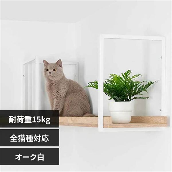 AVENUE �L���b�g�E�H�[�N MZ0054 100cm�^�I�[�N��_0