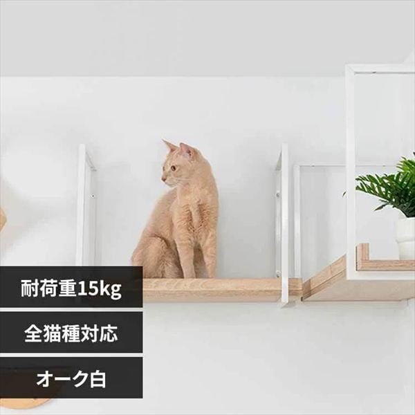 AVENUE �L���b�g�E�H�[�N MZ0056 60cm�^�I�[�N��_0