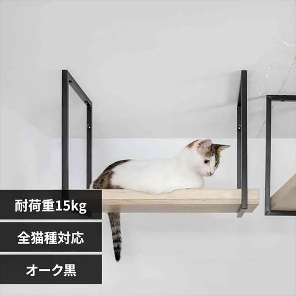 AVENUE �L���b�g�E�H�[�N MZ0057 60cm�^�I�[�N��_0