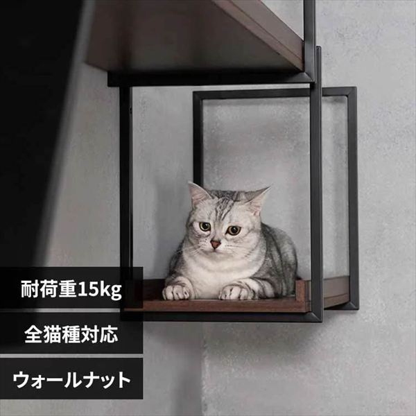 AVENUE キャットウォーク MZ0058 60cm/ウォールナット_0