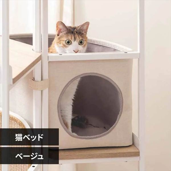 LOOPTOWER �L�x�b�h MZ0062 �x�[�W��_0