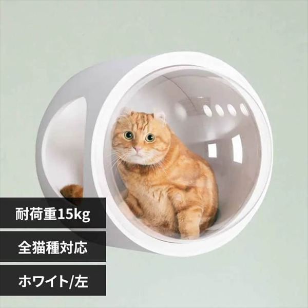 �F���D GAMMA MZ0073 �z���C�g�^���J��_0