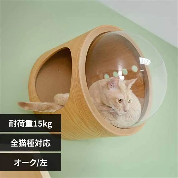 �F���D GAMMA MZ0075 �I�[�N�^���J��_0