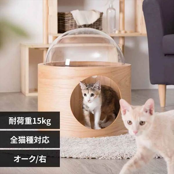 �F���D GAMMA MZ0076 �I�[�N�E�J��_0