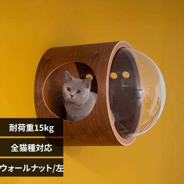 �F���D GAMMA MZ0077 �E�H�[���i�b�g�^���J��_0