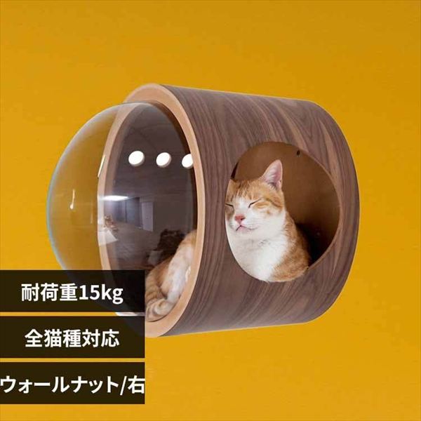 �F���D GAMMA MZ0078 �E�H�[���i�b�g�^�E�J��_0