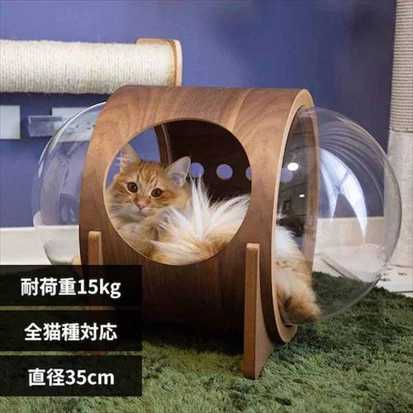 ALPHA �F���D�x�b�h �E�H�[���i�b�g MZ0079 _0