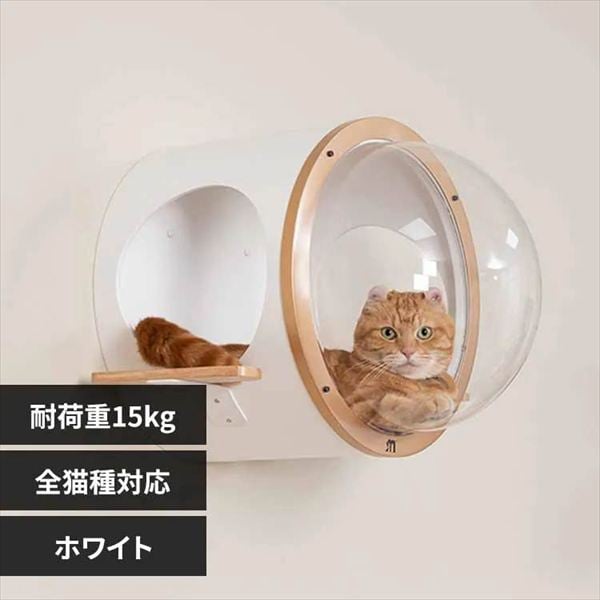 ������ OCEANROVER MZ0081 �z���C�g���S�[���h_0