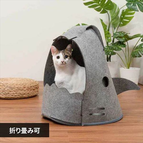 NEKOSHARK