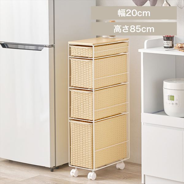 �A�C�A�������h���[ RAN-2463 �i�`������_0