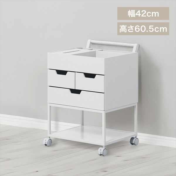 �Y�ꕨ�h�~���S��