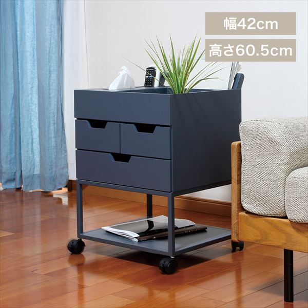 �Y�ꕨ�h�~���S�� RSP-WG1 �l�C�r�[_0