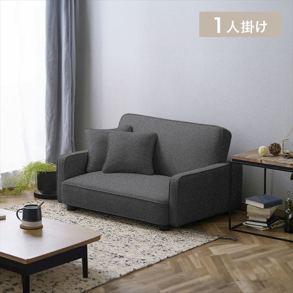 1�l�|�����N���C�j���O�\�t�@���_�[�N�O���[