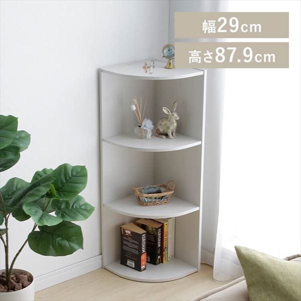 �y�R�[�i�[�^�C�v�z�J���[�{�b�N�X