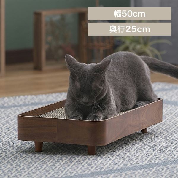 �v���C�E�b�h�܂Ƃ��P�[�X�b�E�H�[���i�b�g