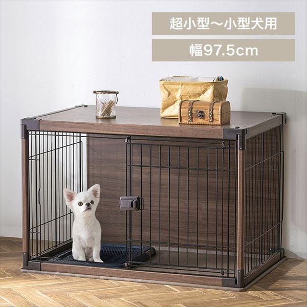 �C���e���A�E�b�f�B�T�[�N���b