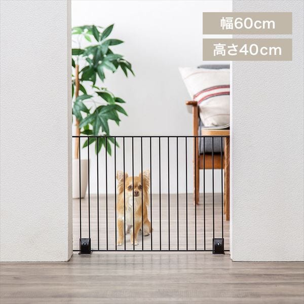 �y�b�g�t�F���X�b