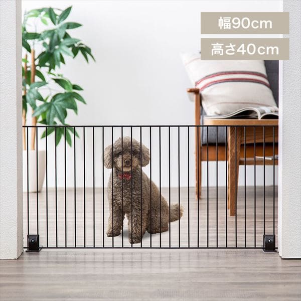 �y�b�g�t�F���X�b