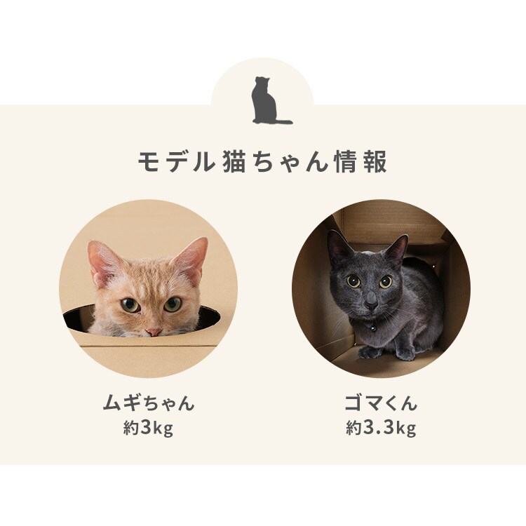 ˂˂glb BOX{TZbg _3