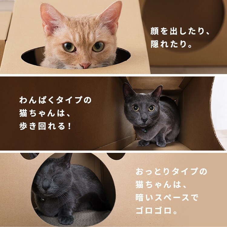 ˂˂glb BOX{TZbg _9