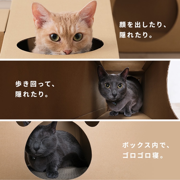 ˂˂glb BOXPi _2