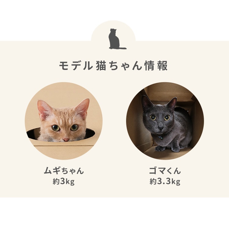 ˂˂glb BOXPi _9