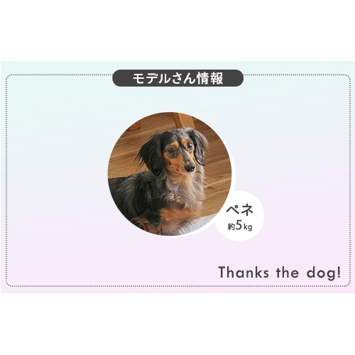 ybgV[cp b_[NO[_5