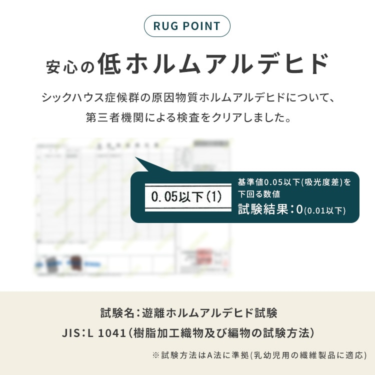 ���E�N�b�V�����z�b�g�J�[�y�b�g�b�O���[_12