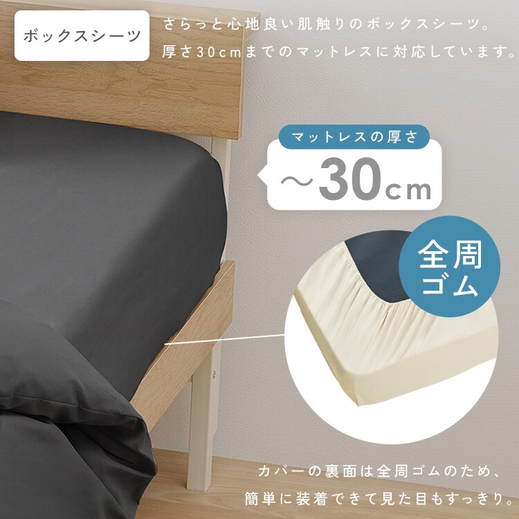 �x�b�h�p�z�c5�_�Z�b�g SD �O���[�W��_11