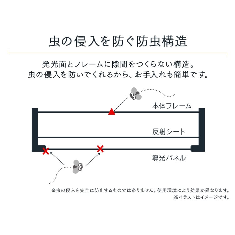 plCgtbg 8 CLP-8DL_14