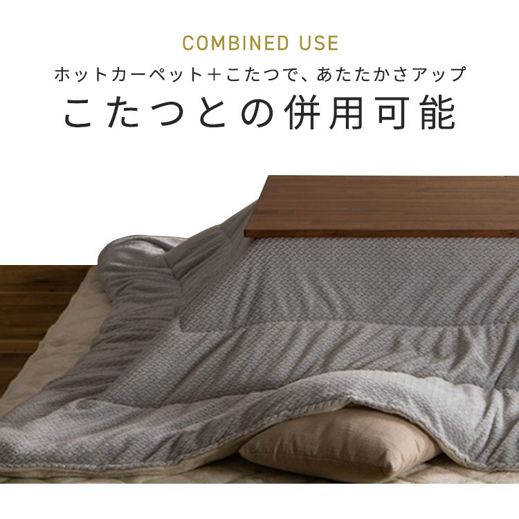 zbgJ[ybgb3b195~235cmbO[_2