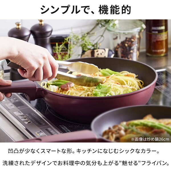 ������̌^�t���C�p�� �Q�Wcm �h�g DCF-I28_3