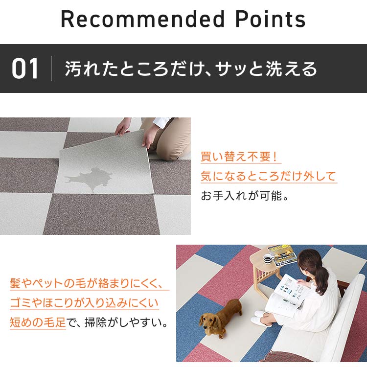 �y20���Z�b�g�z�^�C���J�[�y�b�g  �h���@50�~50cm �u���[  _3