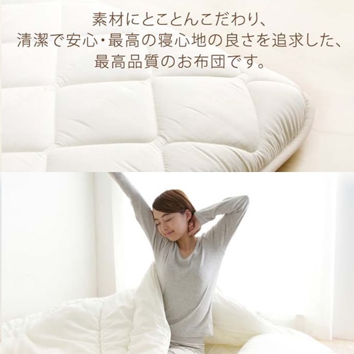 �A�N�t�B�b�g�O�w�~�ӂƂ�cDL 10PW2536AC-6ZMI �u���E��_4