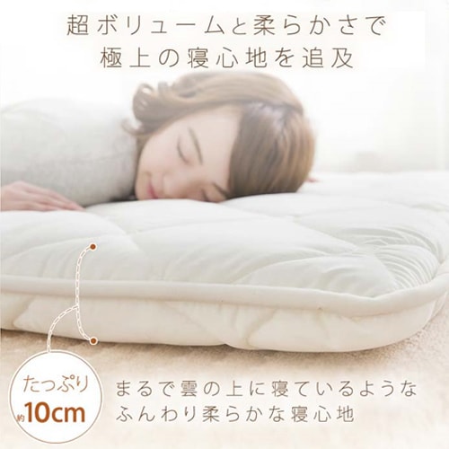 �A�N�t�B�b�g�O�w�~�ӂƂ�cDL 10PW2536AC-6ZMI �u���E��_6