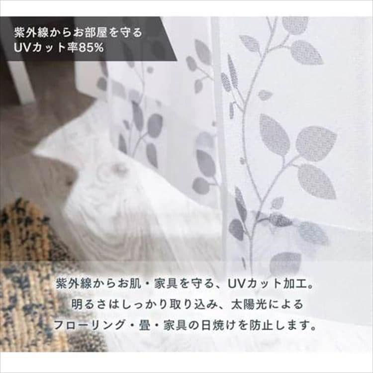 yUVJbgz [XJ[e2g[tb100cm~176cm_5