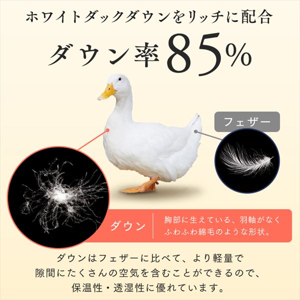 羽毛布団 シングルロング ホワイトダックダウン85％ 1.0kg グレー【TD 