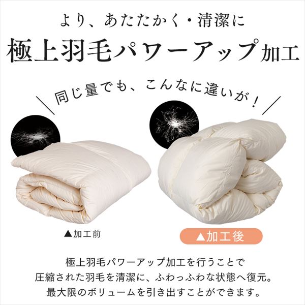 羽毛布団 シングルロング ホワイトダックダウン85％ 1.0kg グレー【TD