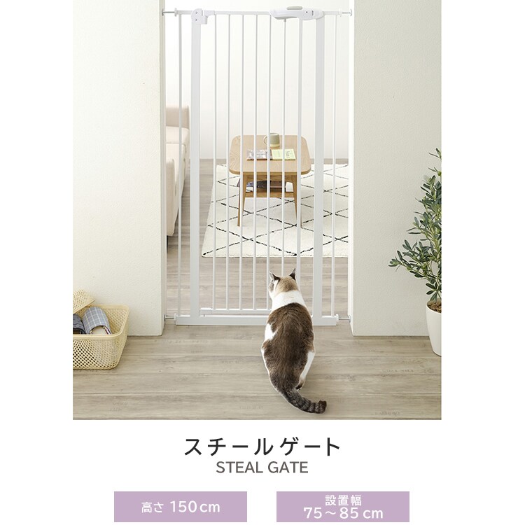 X`[ybgQ[gb 150cm b x[W_1