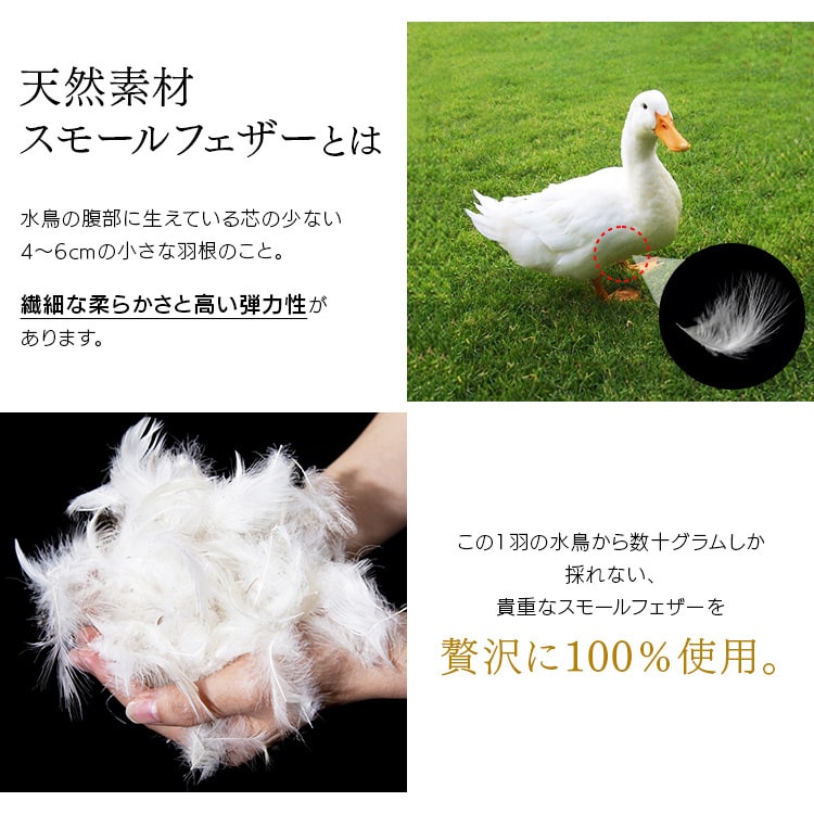 Hzc7_ZbgbVOb{[_[lCr[_6