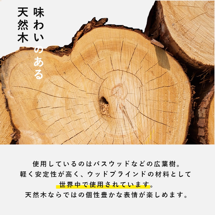 �g�[�\�[ �E�b�h�u���C���h 35�� 180W�~200H �R�[�h/�_�[�N�u���E���y���Ԏw��s�z�y����s�z�y�����s�z�y�v���U�Z���N�g�z _3