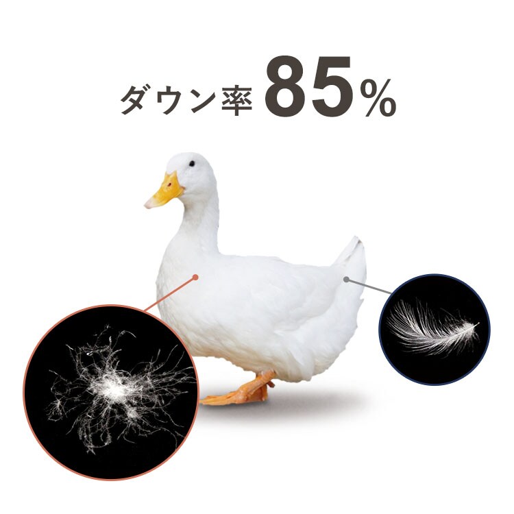 􂦂锧|HѕzctXWDD85%VO_7