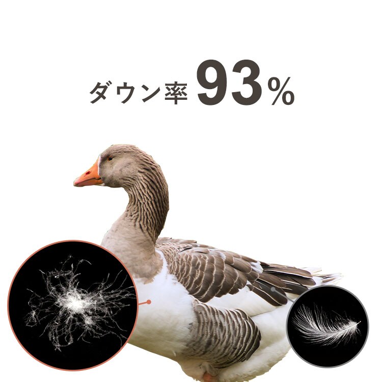 􂦂锧|HѕzcVAGGD93%VO_7