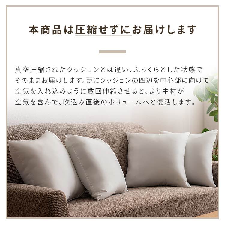 �|���G�X�e���k�[�h�N�b�V����(4��) �z���C�g_8