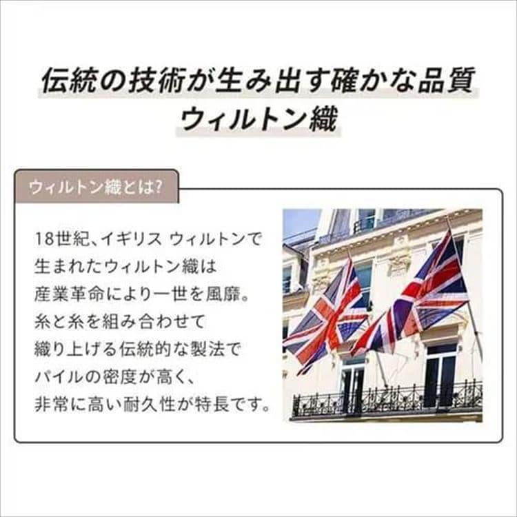 EBgDObt`Vr[b200~290cmbCgO[_9